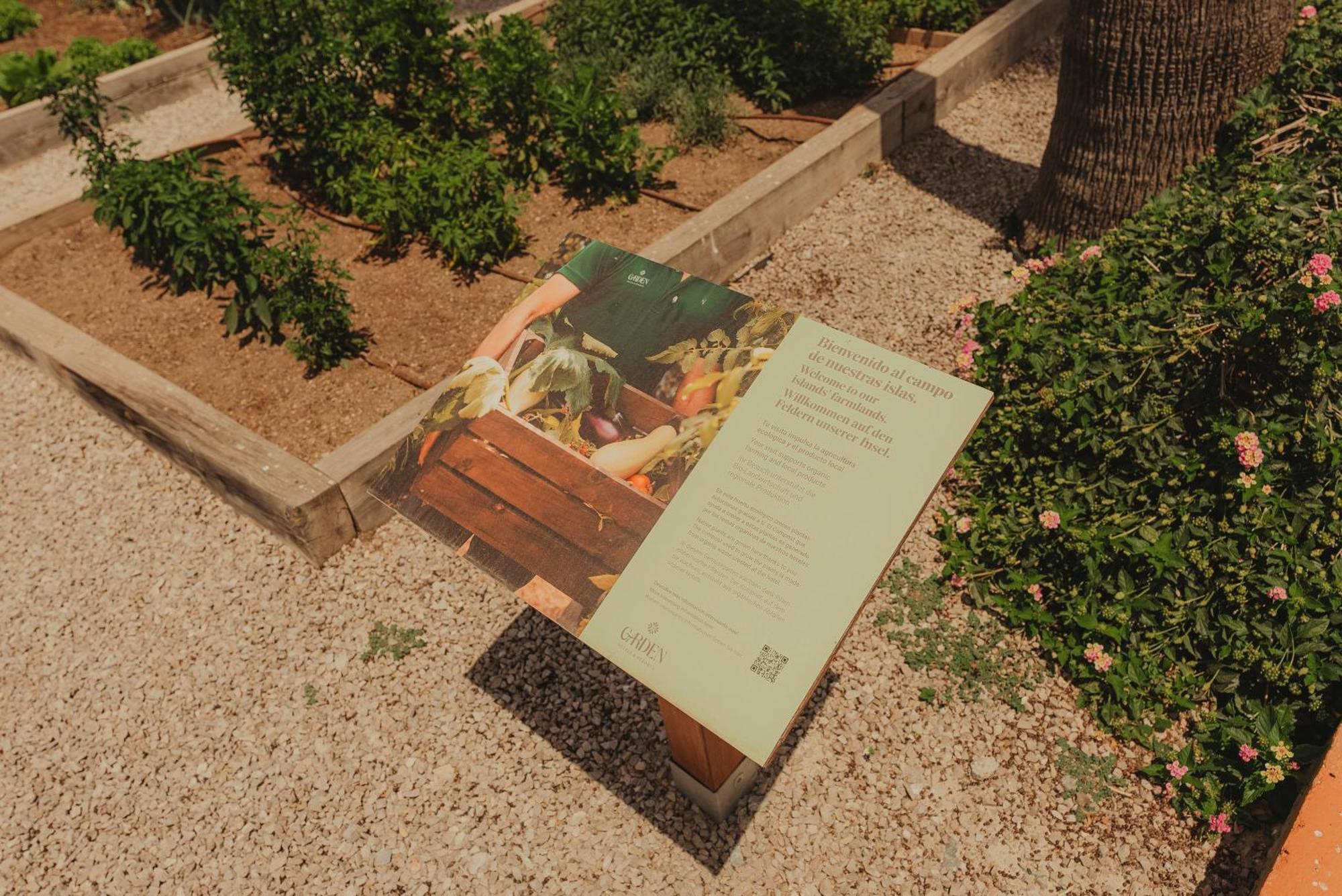 Garden Saladina - Adults Only